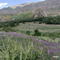 چوپان و کارگر دادمداری