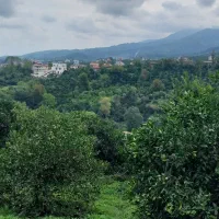 زمین باغی مسکونی به متراژ ۶۵۰ با ویوی ماندگار