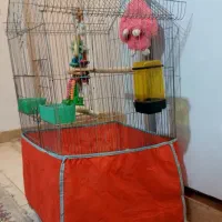 قفس بزرگ جای ۷و۸طوطی دارای چنددر مخفی ۸۵۰