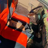 پیکان وانت|خودرو سواری و وانت|قرقری, |دیوار