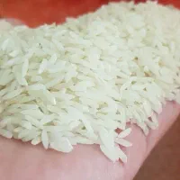 برنج طارم هاشمی