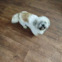 فروش بسیار دوست داشتنی