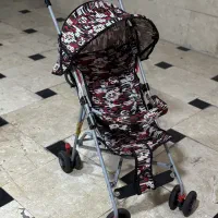 کالسکه عصایی دلیجان