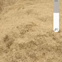 کاه