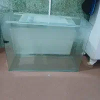 فروش اکواریوم|ماهی|سقز, |دیوار