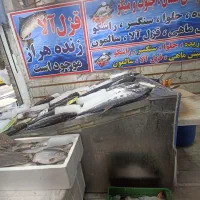 یخچال ماهی فروشی کفی شیب دار|فروشگاه و مغازه|تهران, ایران|دیوار