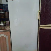 فریزرگلبین