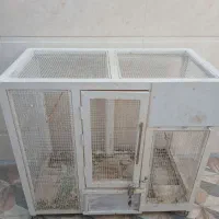 قفس|لوازم جانبی حیوانات|بوشهر, |دیوار