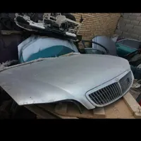 گلگیر درب سقف سپر کاپوت استوک سوناتا ماکسیما ازرا|قطعات یدکی و لوازم جانبی|اصفهان, لیمجیر|دیوار
