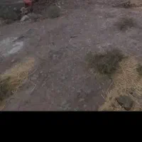 زمین-مسکونی-درشهرخلخال