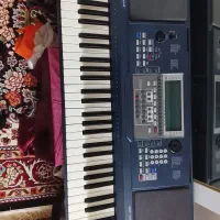 ارگ در حد