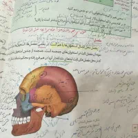 مشاوره تحصیلی تضمینی وتدریس تمام دروس+ انتخاب رشته