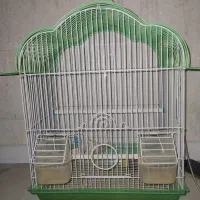 قفس پرنده زیبا