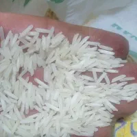 برنج صالح|خوردنی و آشامیدنی|تبریز, |دیوار