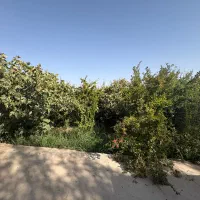 خانه باغ۳۷۰ متری با سند مسکونی تک برگ|فروش زمین و ملک کلنگی|کهن آباد, |دیوار