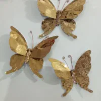 پروانه برنزی