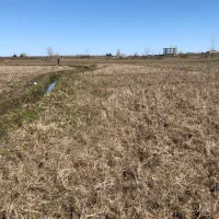 زمین-کشاورزی-بمتراژ-2300-متر