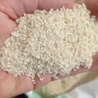 برنج ریز دانه کم دودوسفید