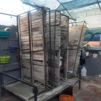 تخت کافه ۲عدد