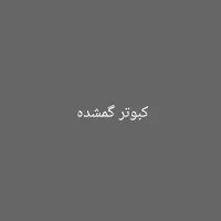 کبوتر گمشده