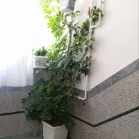 سایر وسایل