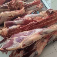 گوشت|خوردنی و آشامیدنی|نیشابور, رحمت آباد|دیوار