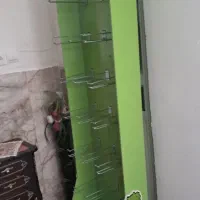 رگال سالم و تمیز