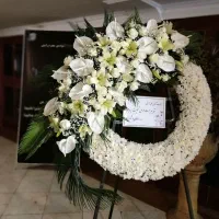 سفارشات دسته گل باکس گل جهت افتتاحیه تبریک تسلیت|گل و گیاه طبیعی|تهران, شهرک فردوس (حسینی)|دیوار