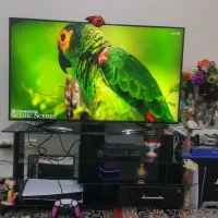 تلوزیون LED 4K شارپ 50اینچ|تلویزیون و پروژکتور|بروجرد, |دیوار