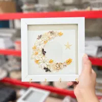 قاب ماه صدفی