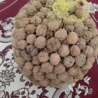 گردو