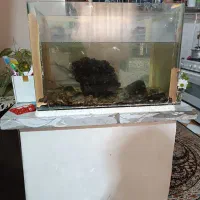 وسایل خانه فروشی|ساعت دیواری و تزئینی|ایذه, |دیوار