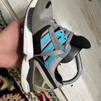 کتونیzxدلفینی