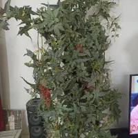 درخت شاخه انگور مصنوعی
