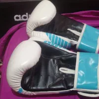 دستکش بوکس livepro نو|تجهیزات ورزشی|رامهرمز, |دیوار