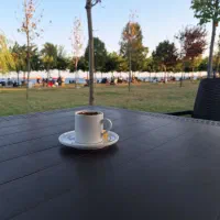 انتقال تجربه