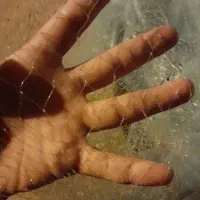 کرف یا جاروف