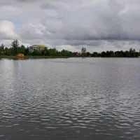 کار در منزل