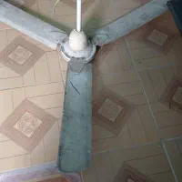 پنکه