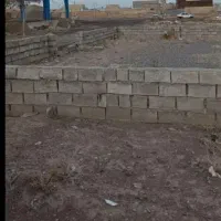 زمین باغسنگان سفلی|فروش زمین و ملک کلنگی|تربت جام, باغ سنگان سفلی|دیوار