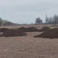 کود حیوانی کهنه