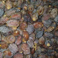 فروش خرما خشک خرما کشتی (بسته بندی|خوردنی و آشامیدنی|شیراز, فرهنگ شهر|دیوار