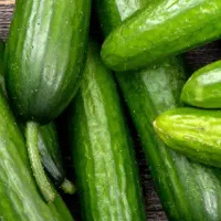 خیار گوجه سیب زمینی