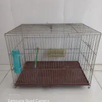 قفس پرنده