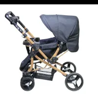 کالسکه دلیجان مدل بنیتا|کالسکه و لوازم جانبی|لنجان, |دیوار