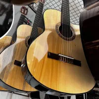 گیتار و سنتور با چک ۸ ماهه بخر|گیتار، بیس، امپلیفایر|سنندج, |دیوار