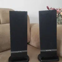 دو عدد باند