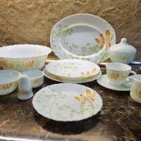 سرویس ۱۲ نفره پارس اوپال