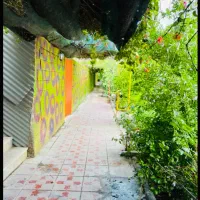 ویلاباغ سرکهکی ۱۵