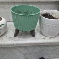 سه گلدان کاملا سالم